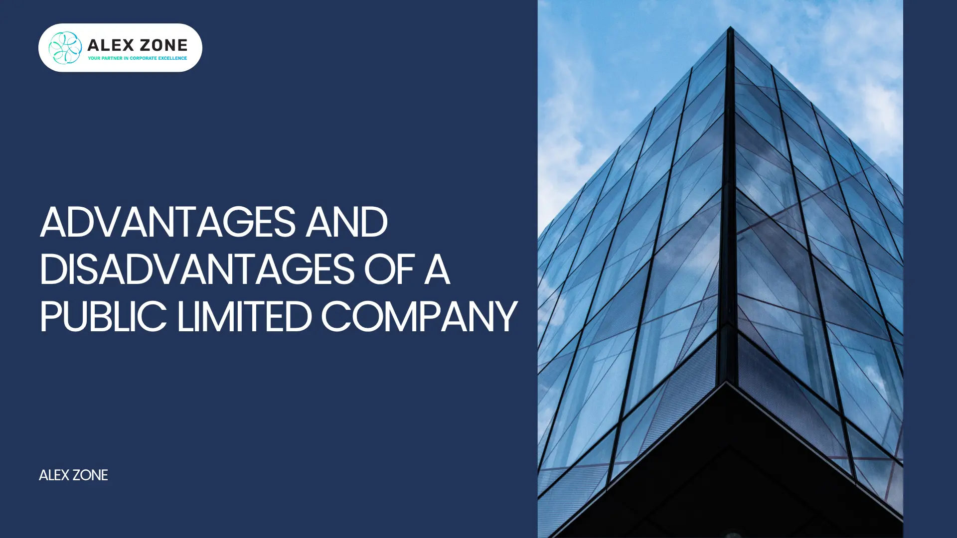 Advantages and Disadvantages of a Public Limited Company