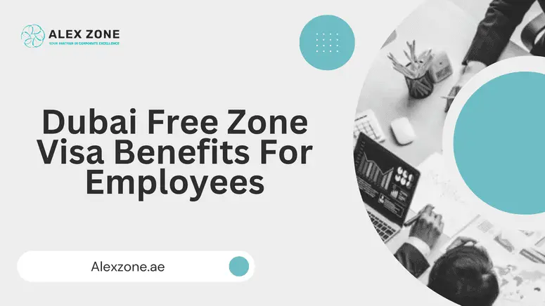 Dubai Free Zone Visa Benefits For Employee