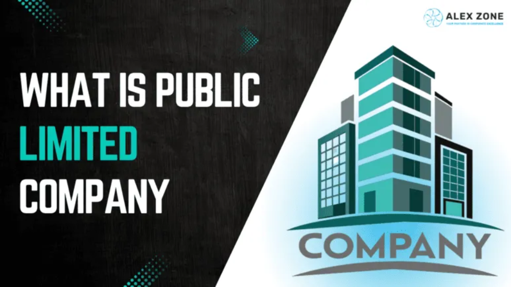 what is a public limited company in business
