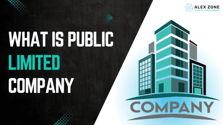 what is a public limited company in business
